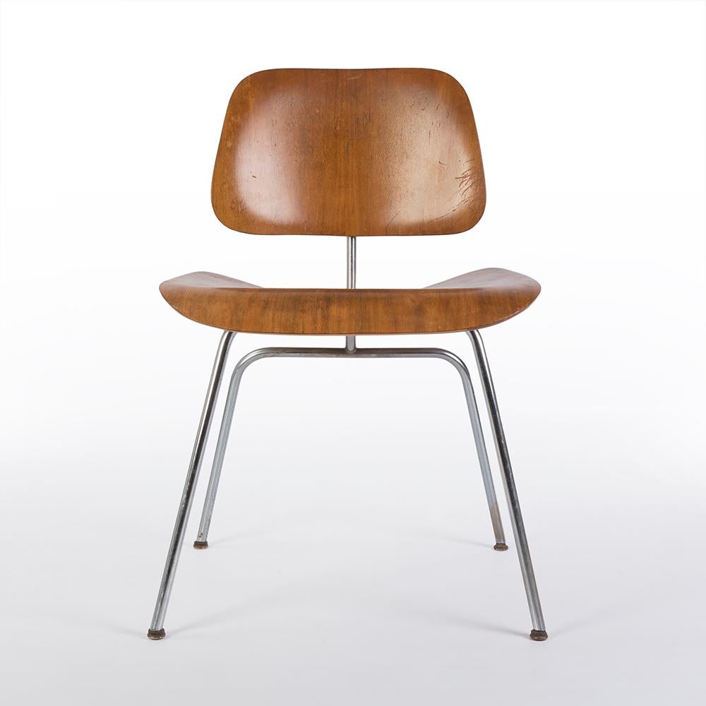 A very good example of an original Evans Eames DCM molded plywood dining chair finished in Calico Ash. The frame is very good considering its age with only some small signs of age whilst the wood finish is in great condition, again, considering its