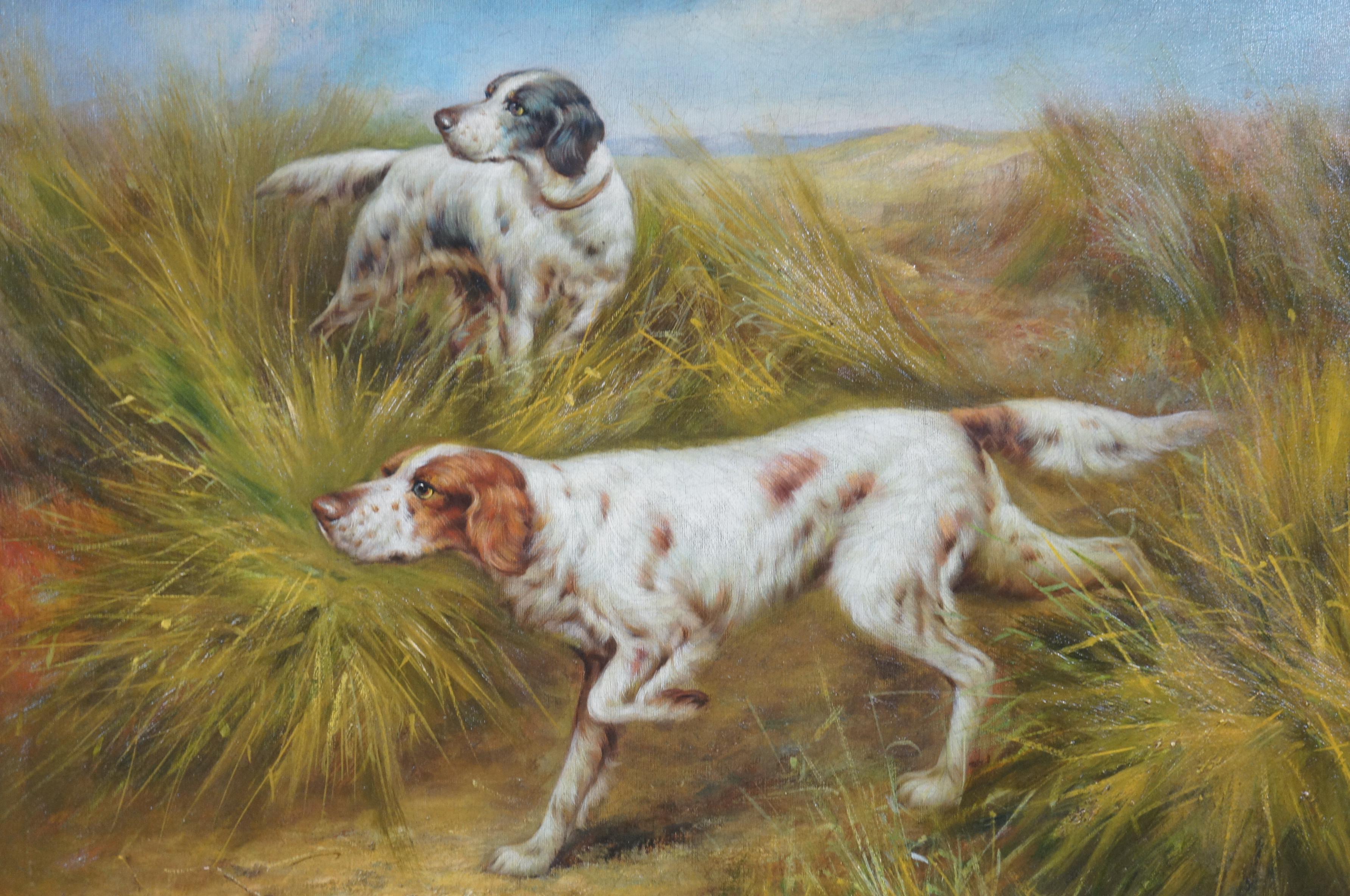 perros pointer cazando