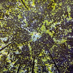 Woodland Skyscape Variation 136, 2023