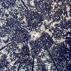 Woodland Skyscape Variation 147, Forest Sky Woodcut in Dark Navy, Pale Blue