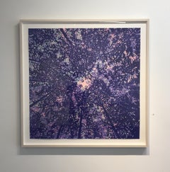 Woodland Skyscape Variation 94, Forest Sky with Trees, Woodcut in Purple, Blue
