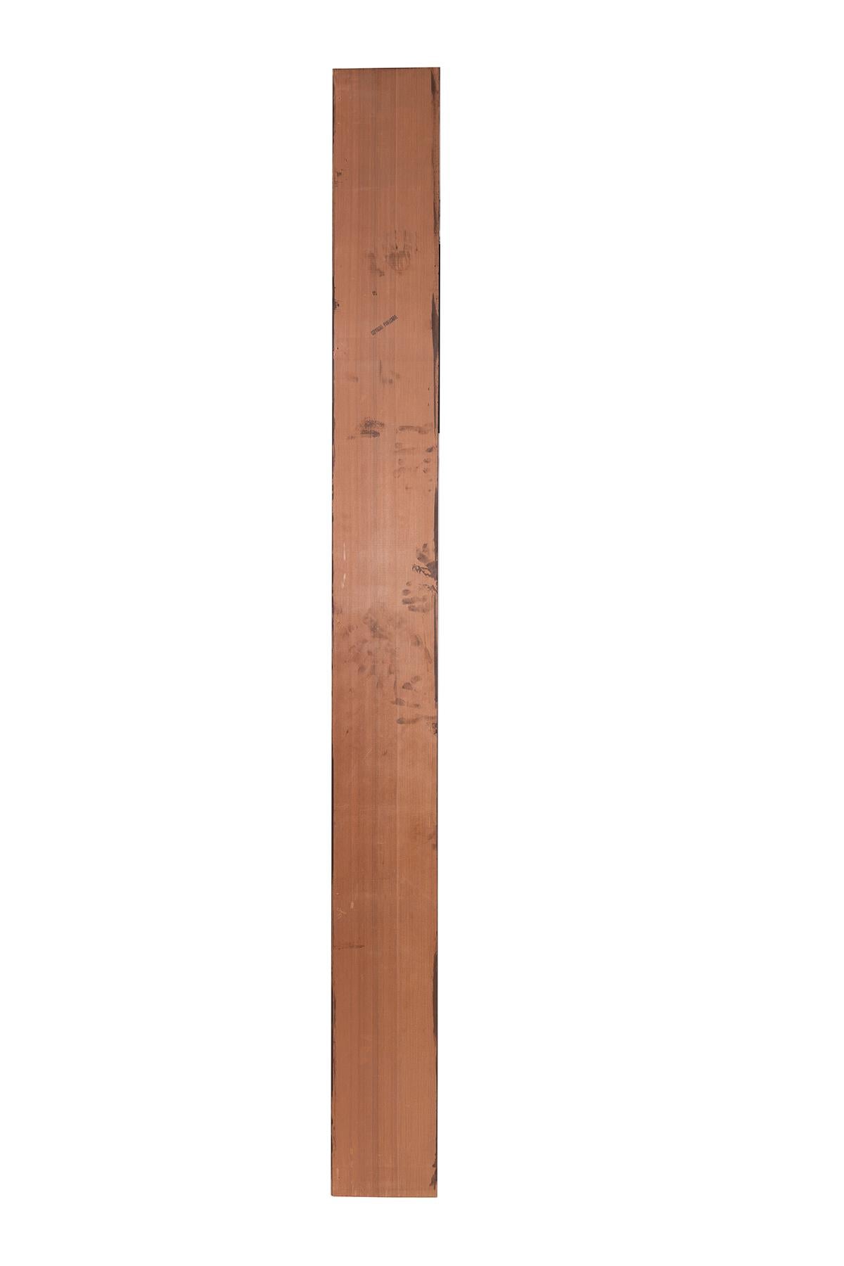 Evelyn Ackerman Panelcarve Redwood Panneaux des années 1960 en vente 5