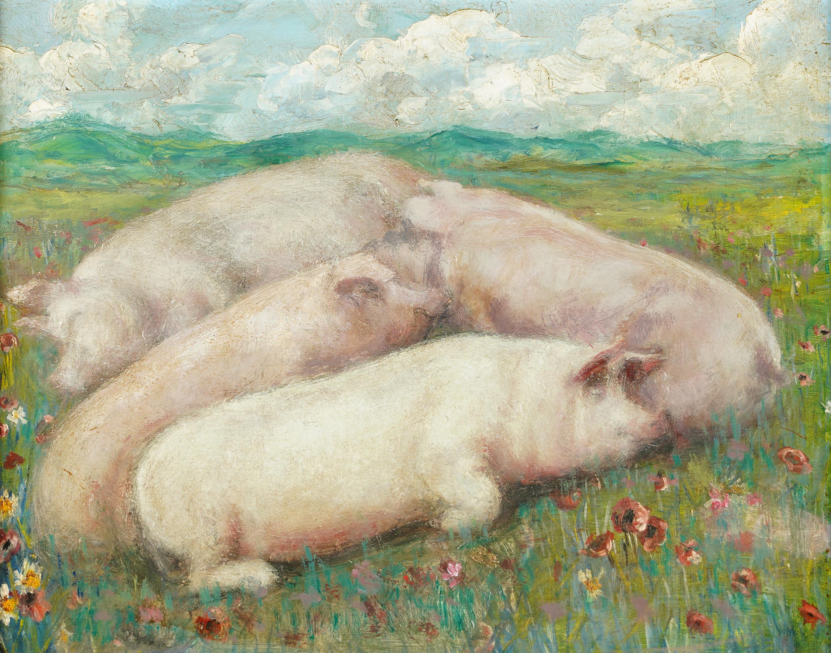 pig oil painting