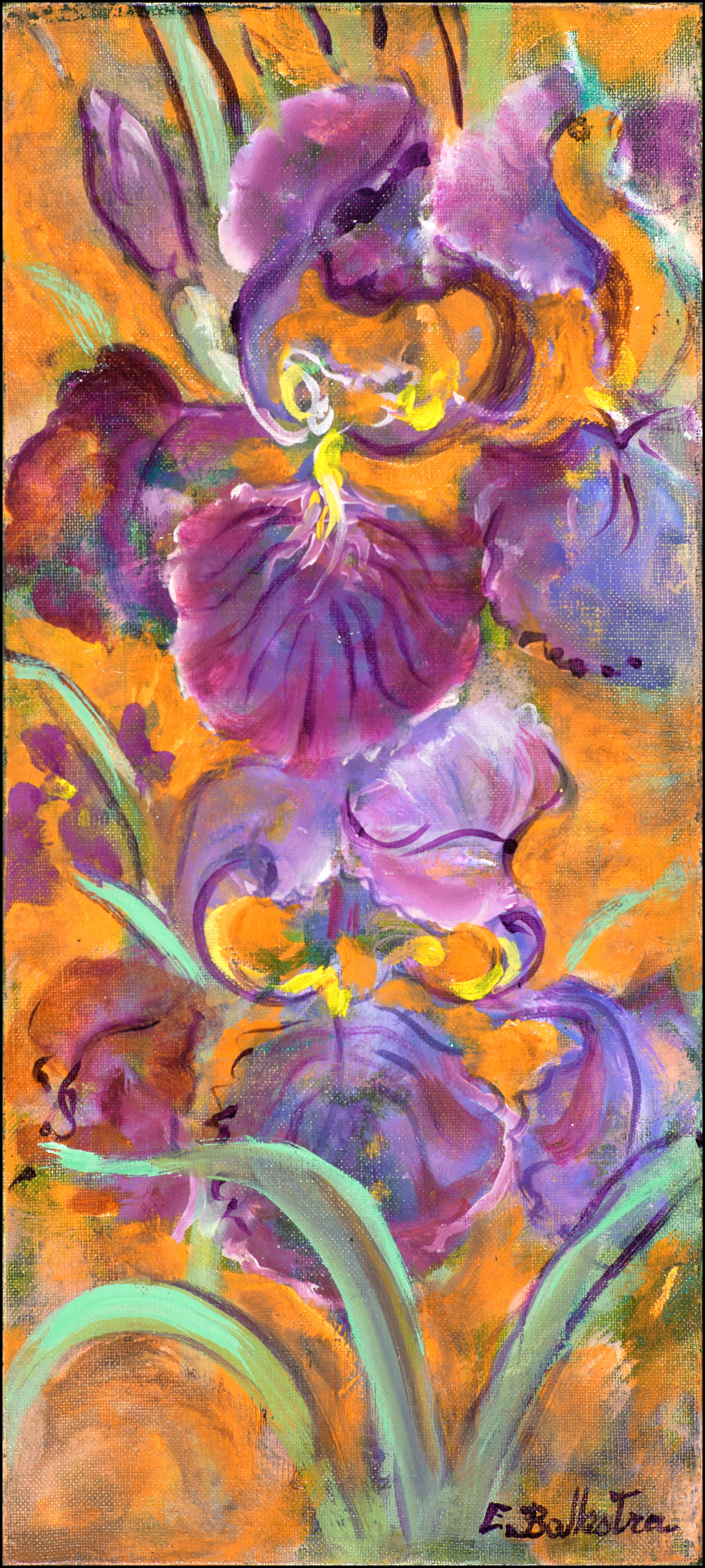 Deux Iris