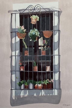 Guanajuato Window