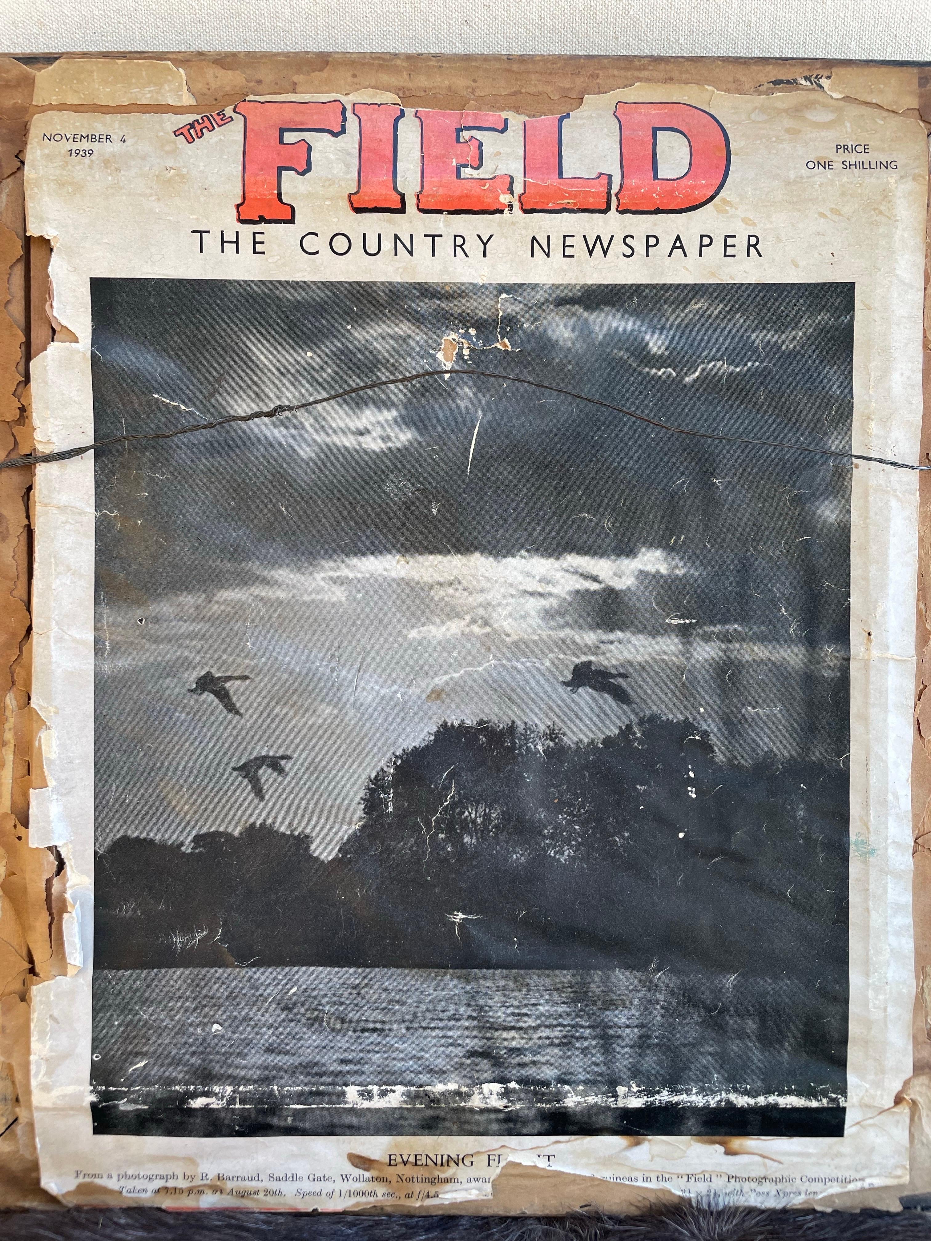 Un suggestivo dipinto paesaggistico della metà del XX secolo intitolato Evening Flight Over the Lake (Volo serale sul lago), ispirato alla suggestiva copertina del 4 novembre 1939 di The Field - 