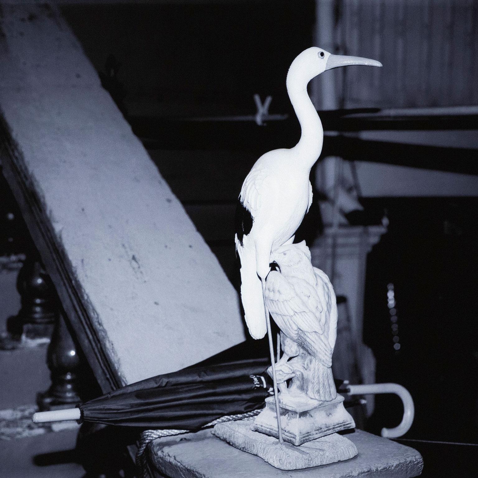 Heron et Hawk - Contemporain Photograph par Evergon (aka Celluloso Evergonni)