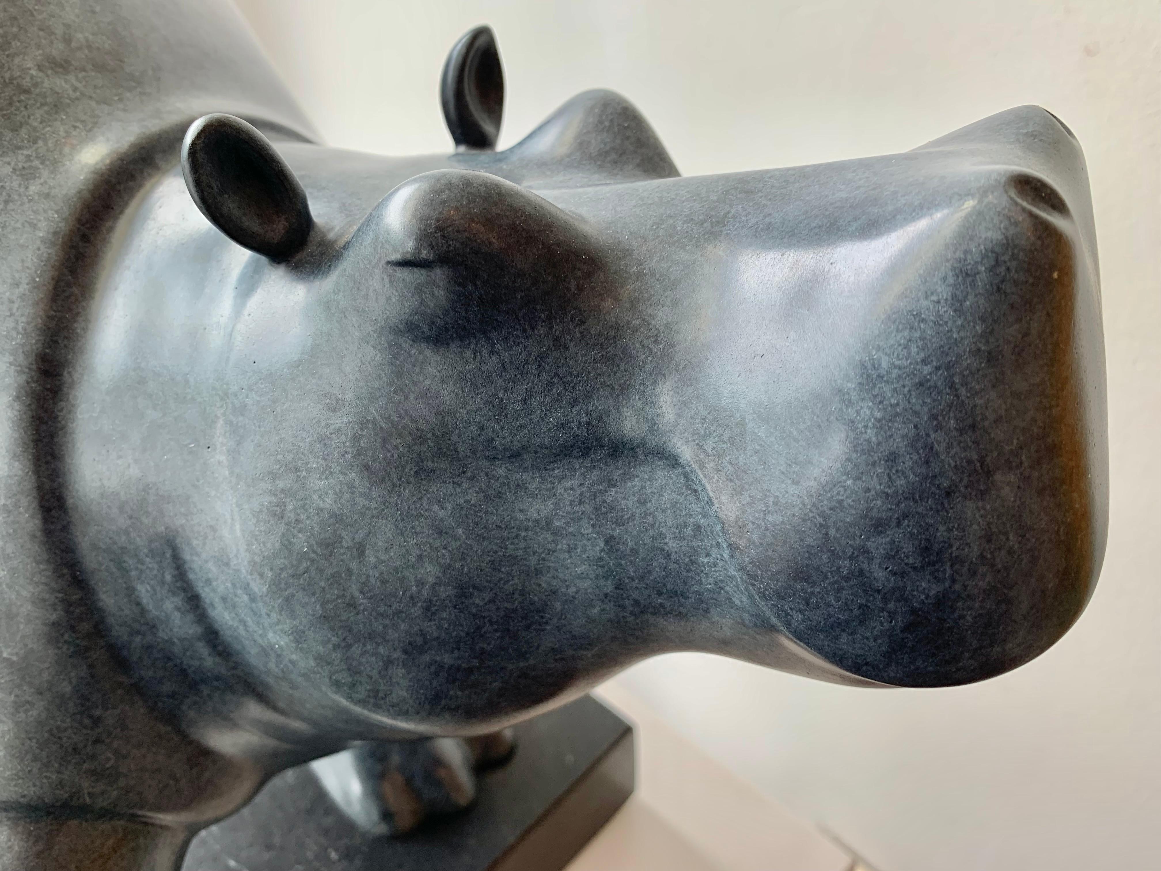 Dansende Hippo (Tanzendes Nilpferd) Bronze Figurative Tierskulptur Vorrätig

Evert den Hartog (geboren 1949 in Groot-Ammers, Niederlande) absolvierte eine Ausbildung zum Bildhauer an der Rotterdamer Akademie der Bildenden Künste. In den Jahren