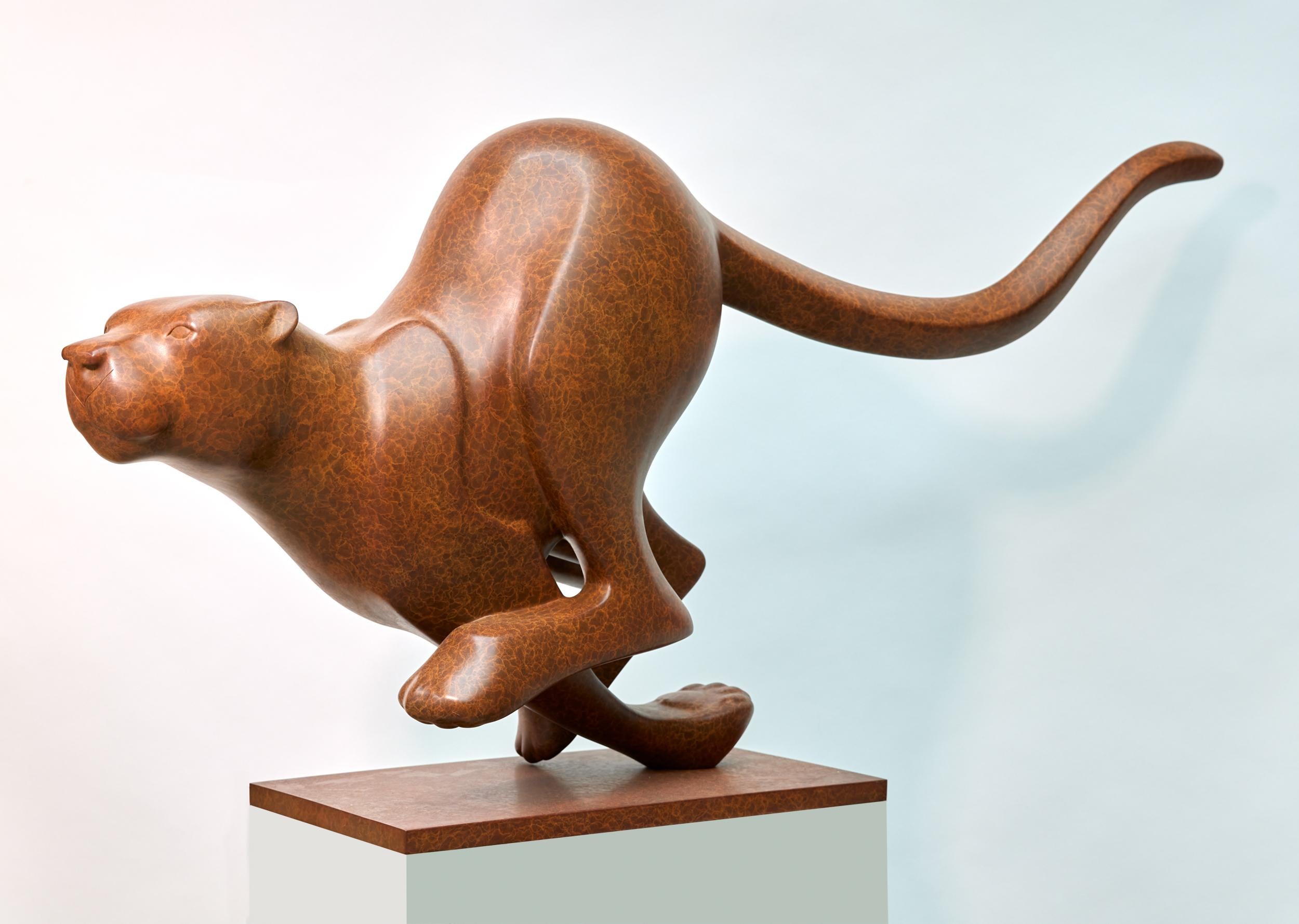 Evert den Hartog Figurative Sculpture - Rennende Poema no. 2 Running Cougar Bronze Sculpture Patin In Stock