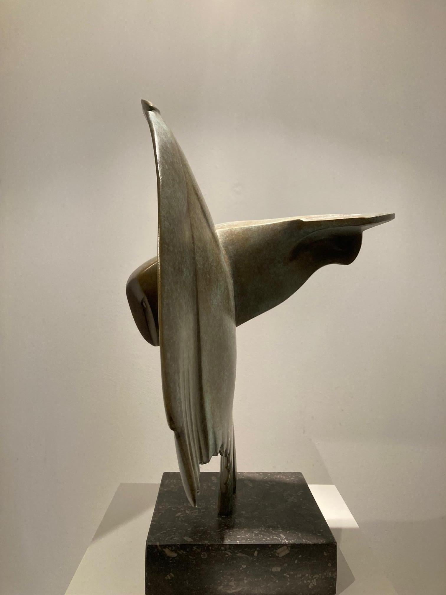 Vliegende Uil no. 7 Oiseau hibou volant Sculpture en bronze Edition limitée En stock

Evert den Hartog (né à Groot-Ammers, aux Pays-Bas, en 1949) a suivi une formation de sculpteur à l'Académie des arts visuels de Rotterdam. Dans les années