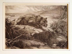 Lioness i- Etching by Evert Louis van Muyden - 1900