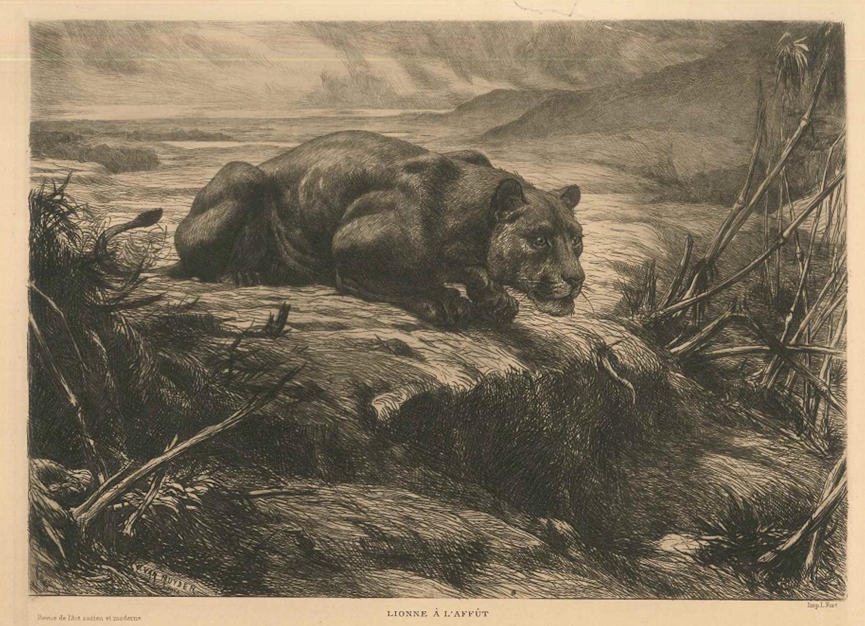 Lionne à l'affût - Radierung und Aquatinta von Evert van Muyden - 1900 – Print von Evert Louis van Muyden