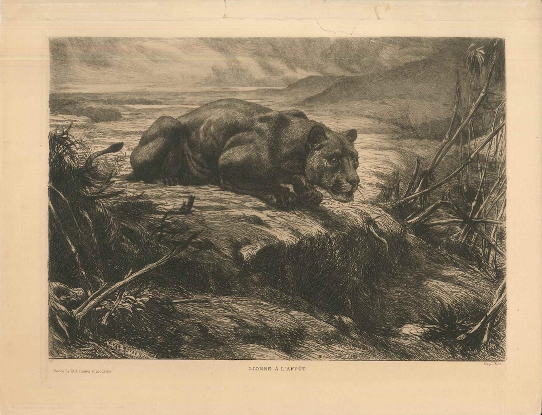 Lionne à l'affût - Etching and Aquatint by Evert van Muyden - 1900