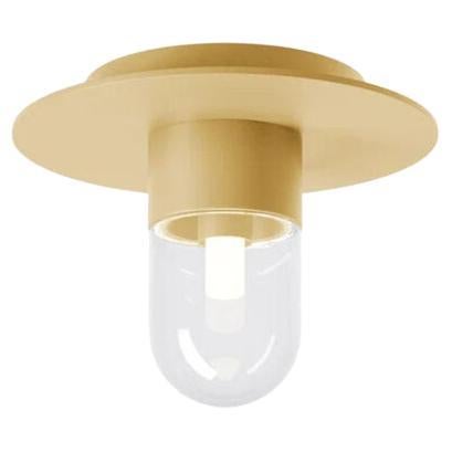 Everyday Brass Ceiling/Wall Lamp  For Sale