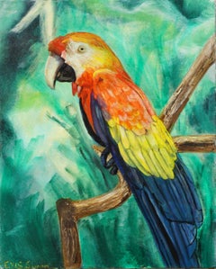 Tropical Macaw Parrot in the Jungle 