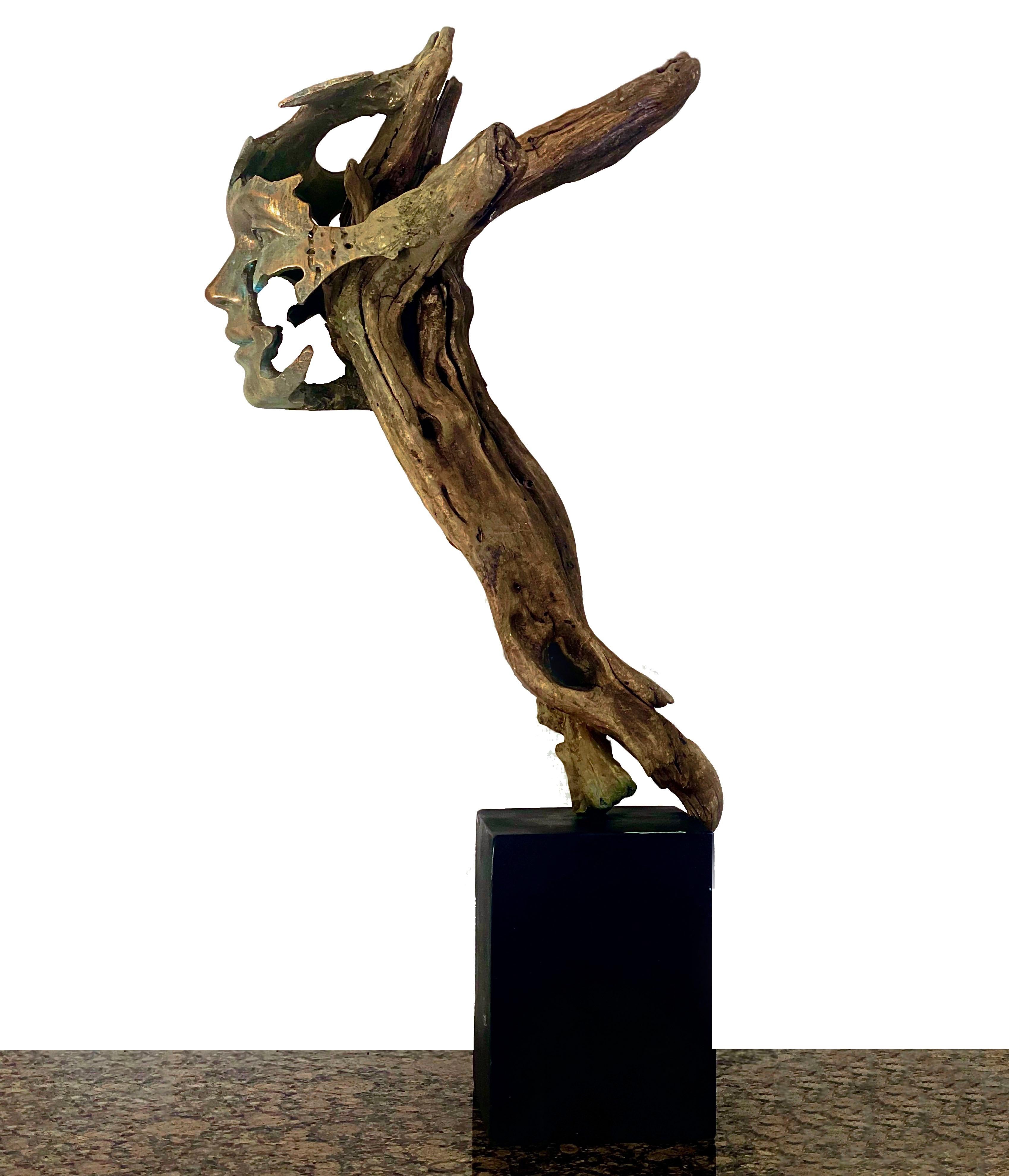 Detached by Evgeni Vodenitcharov is an original sculpture made of wood in 2021.  It was inspired by the conflict, and coexistence between humans and nature, but also a deconstruction of human form, the movement of negative space can represent how
