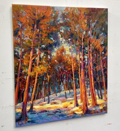 "Evening forest"