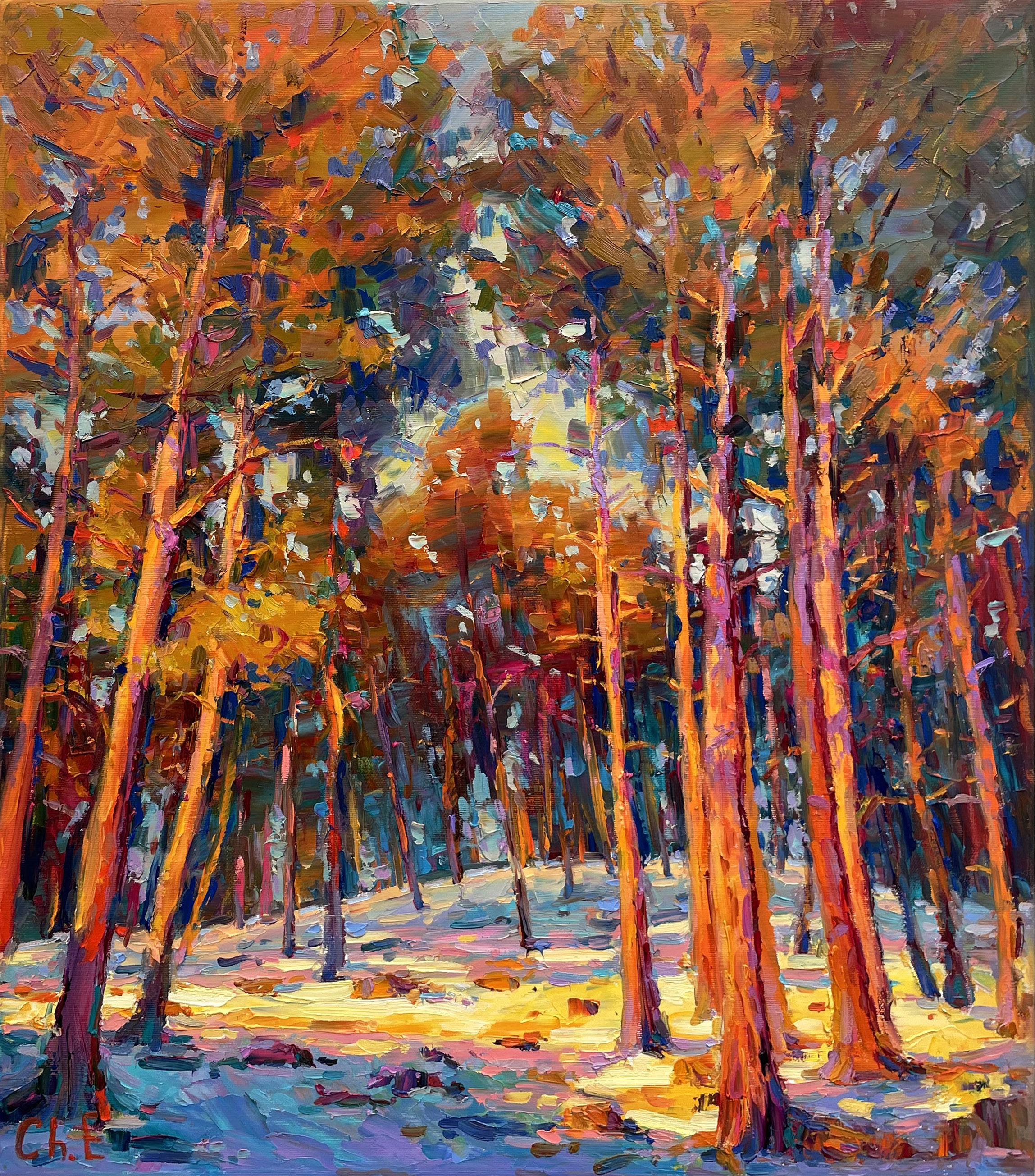 "Evening forest"