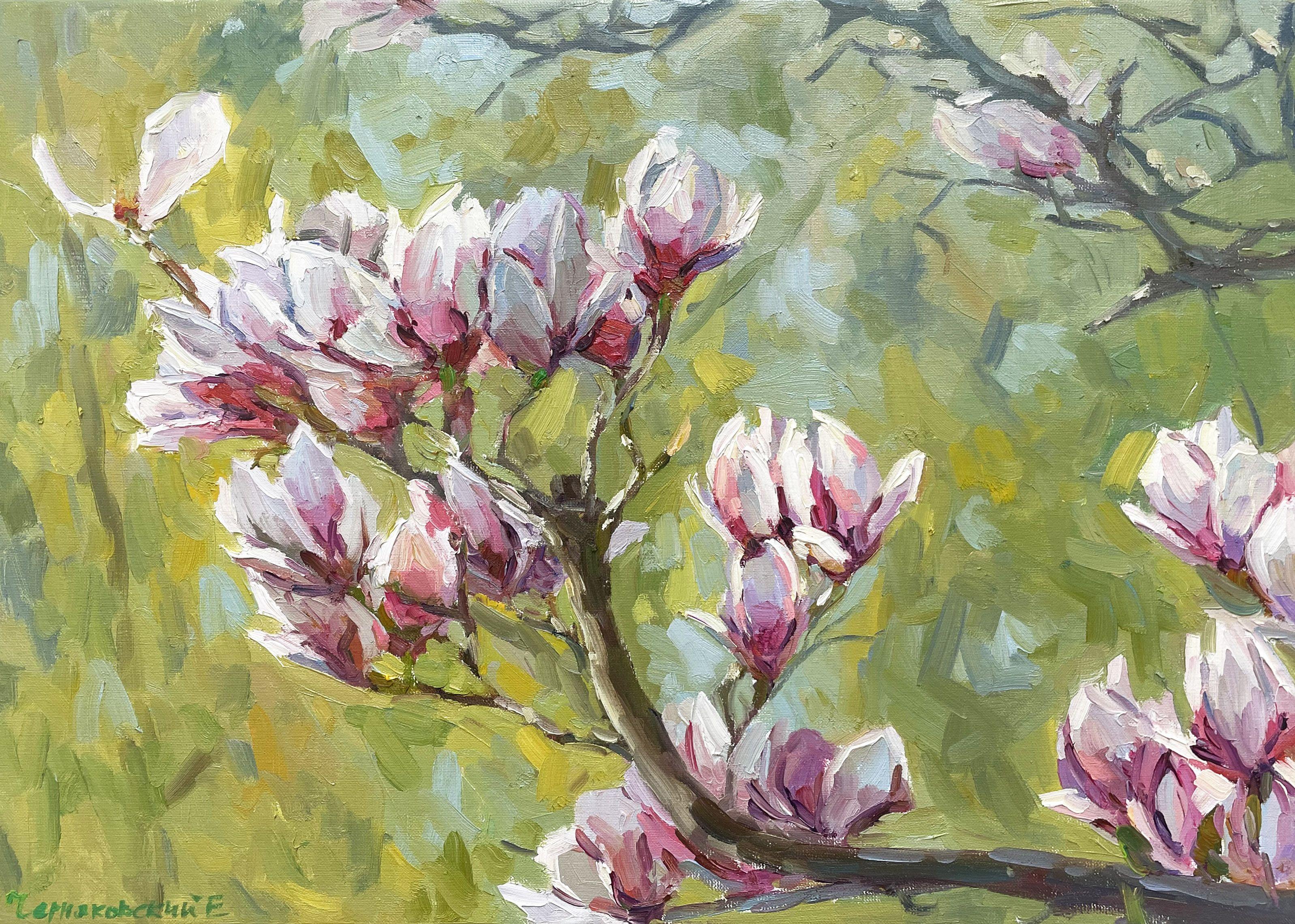 Original Oil painting by Ukrainian artist Evgeny Chernyakovsky    "magnolia branch"  50.0 X 70.0 CM / 19.6 X 27.5 IN  HIGH QUALITY oil on canvas  Signed on the front and back  Dated 2023  Good condition  GUARANTEE OF AUTHENTICITY   :: Painting ::
