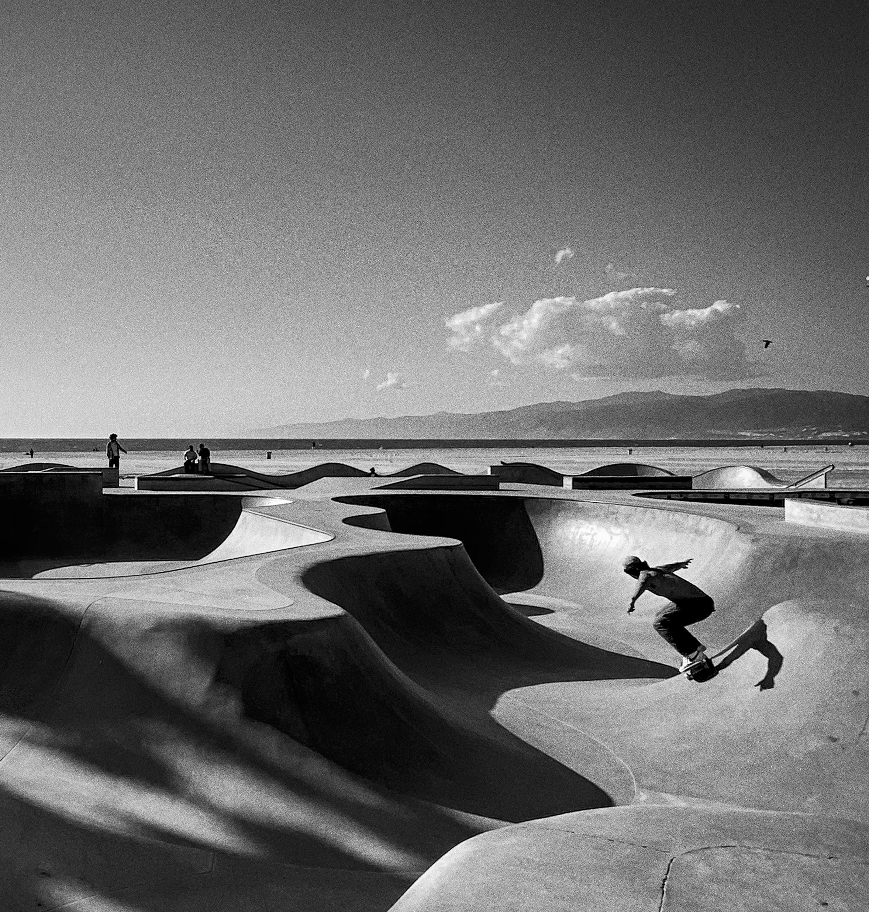 Venice Dunes - black and white photograph - archival pigment print 17