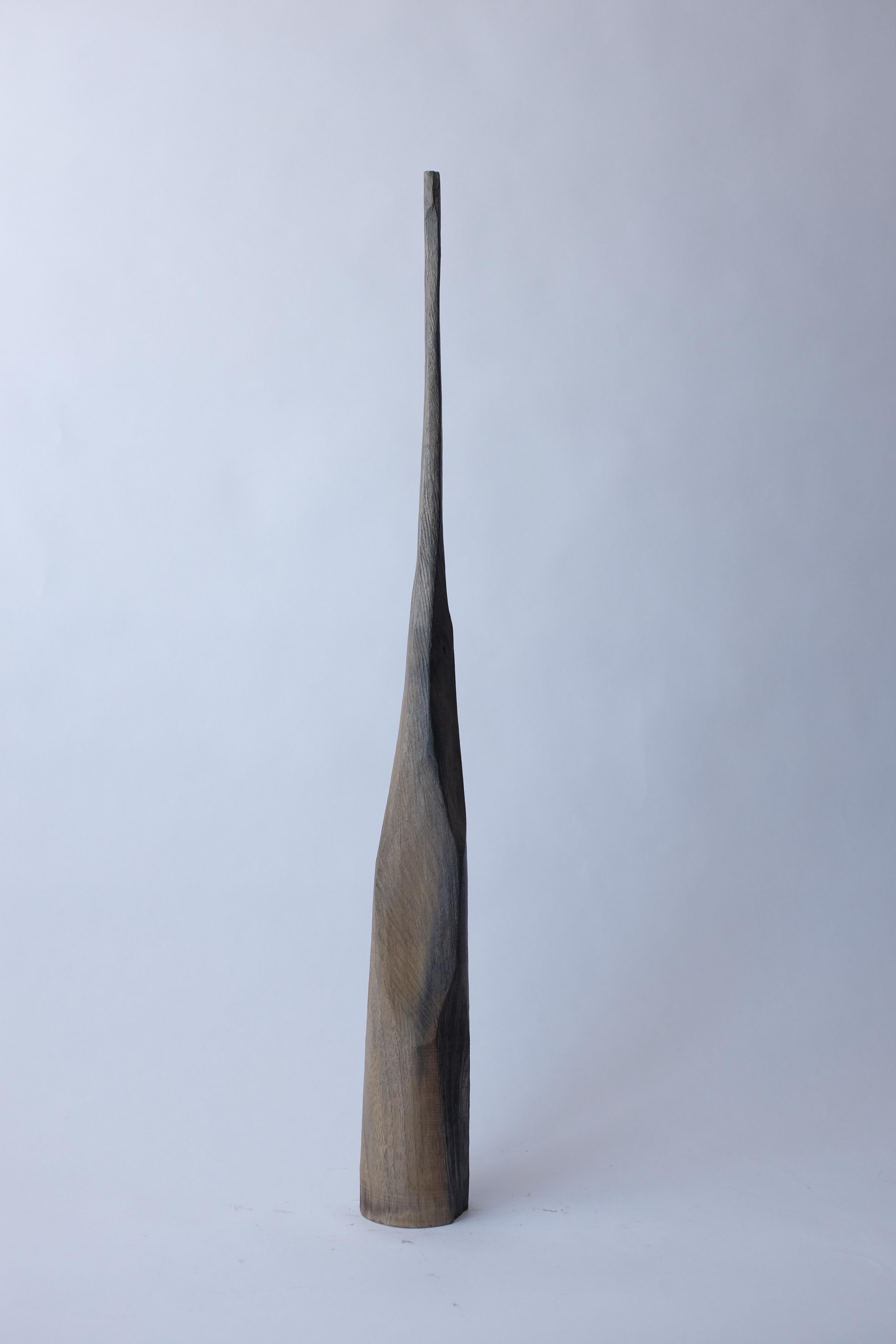 Evocazione #18 by Marco Bellini
Dimensions: W 7 x 74 H cm
Materials: European walnut
                 Fire, green vitriol, iron acetate

Marco was born in the middle of the rice fields of Vercelli, Italy, during the Years of Lead. 

He studied