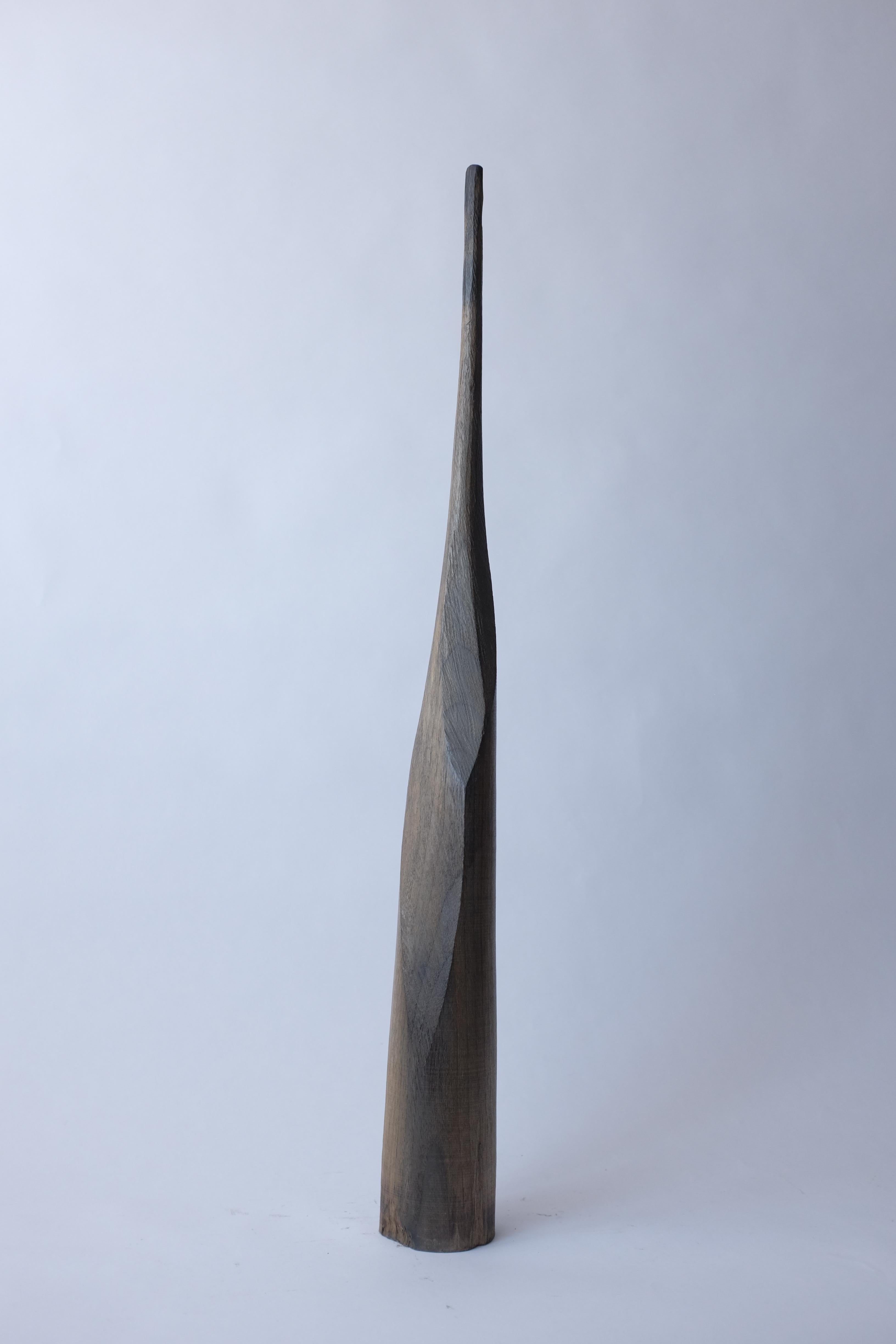 Evocazione #19 de Marco Bellini
Dimensiones: A 7 x 74 cm H
Materiales: Nogal europeo
                 Fuego, vitriolo verde, acetato de hierro

Marco nació en medio de los arrozales de Vercelli, Italia, durante los Años de Plomo. 

Estudió filosofía