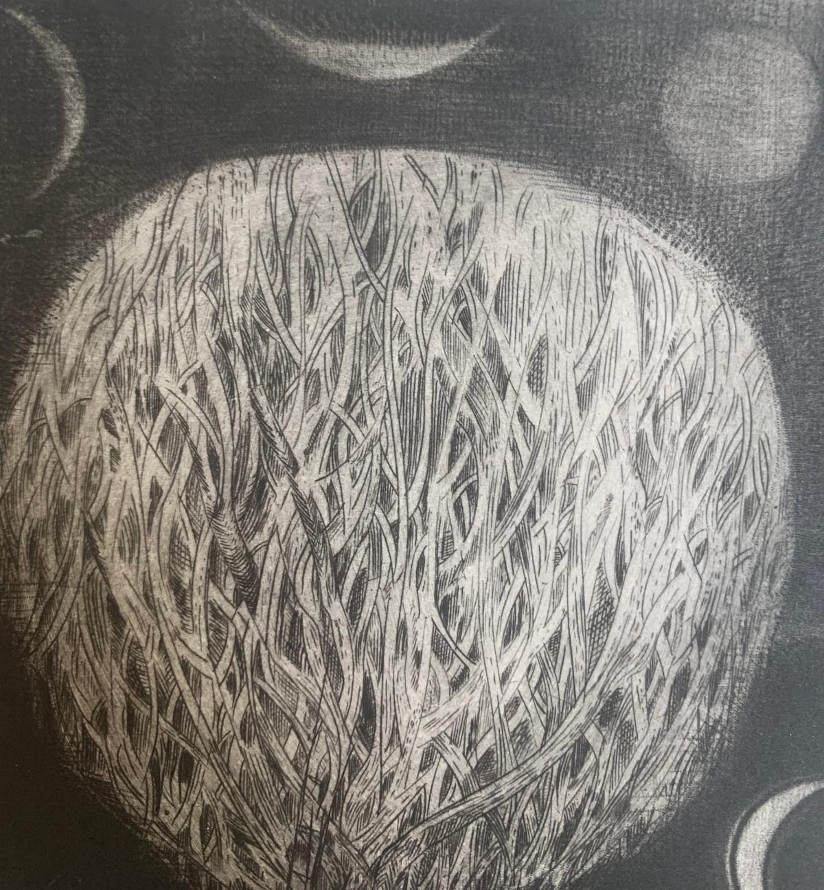 Un concerto. Stampa mezzatinta, Edizione limitata, Monocromatico, Artista polacco in vendita 1