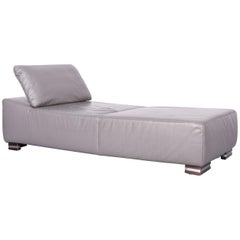 Ewald Schillig Designer Couch Leather Grey One-Seat Modern