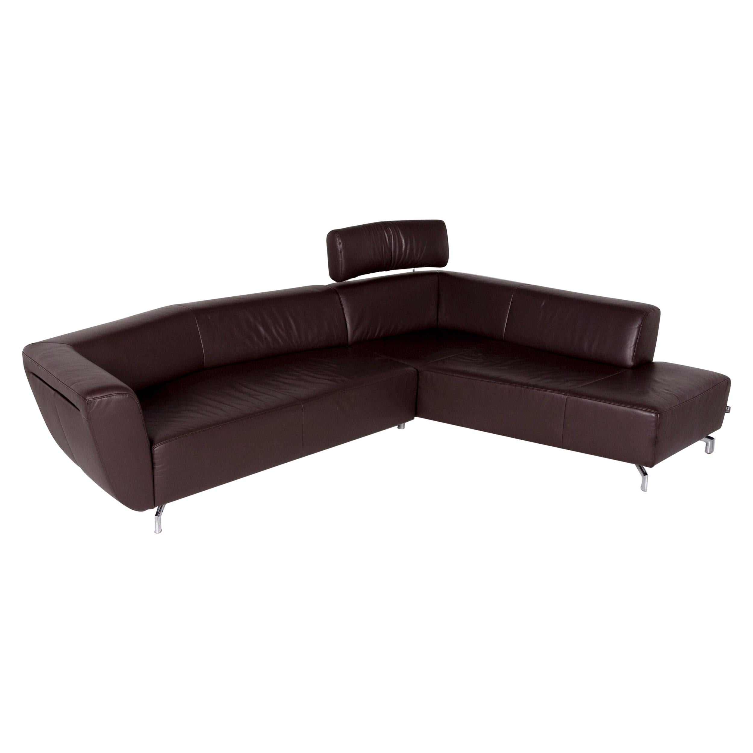 Ewald Schillig Leather Corner Sofa Brown Dark Brown Sofa Couch For Sale