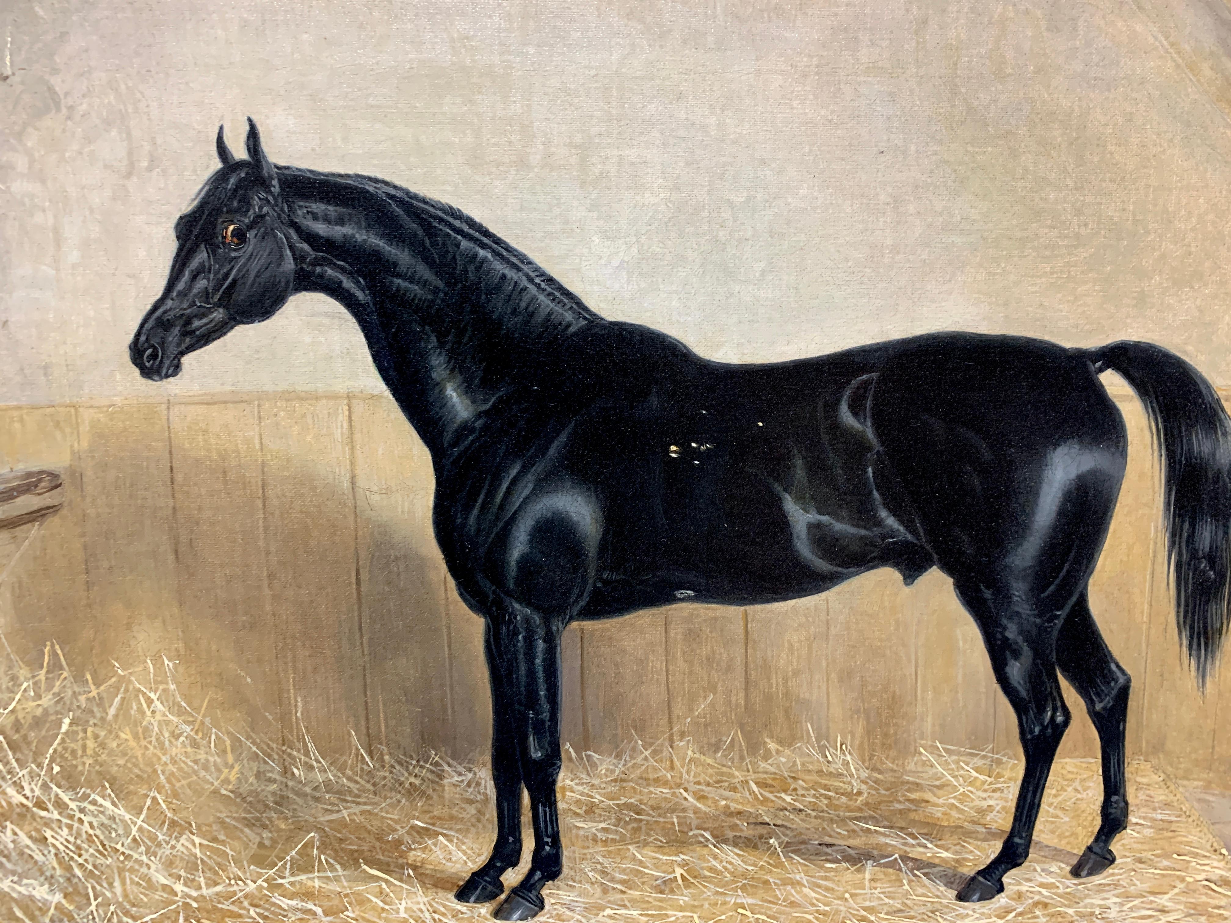 19th century English Victorian oil portrait of a black Horse in a stable. - Painting by Edward Walter Webb