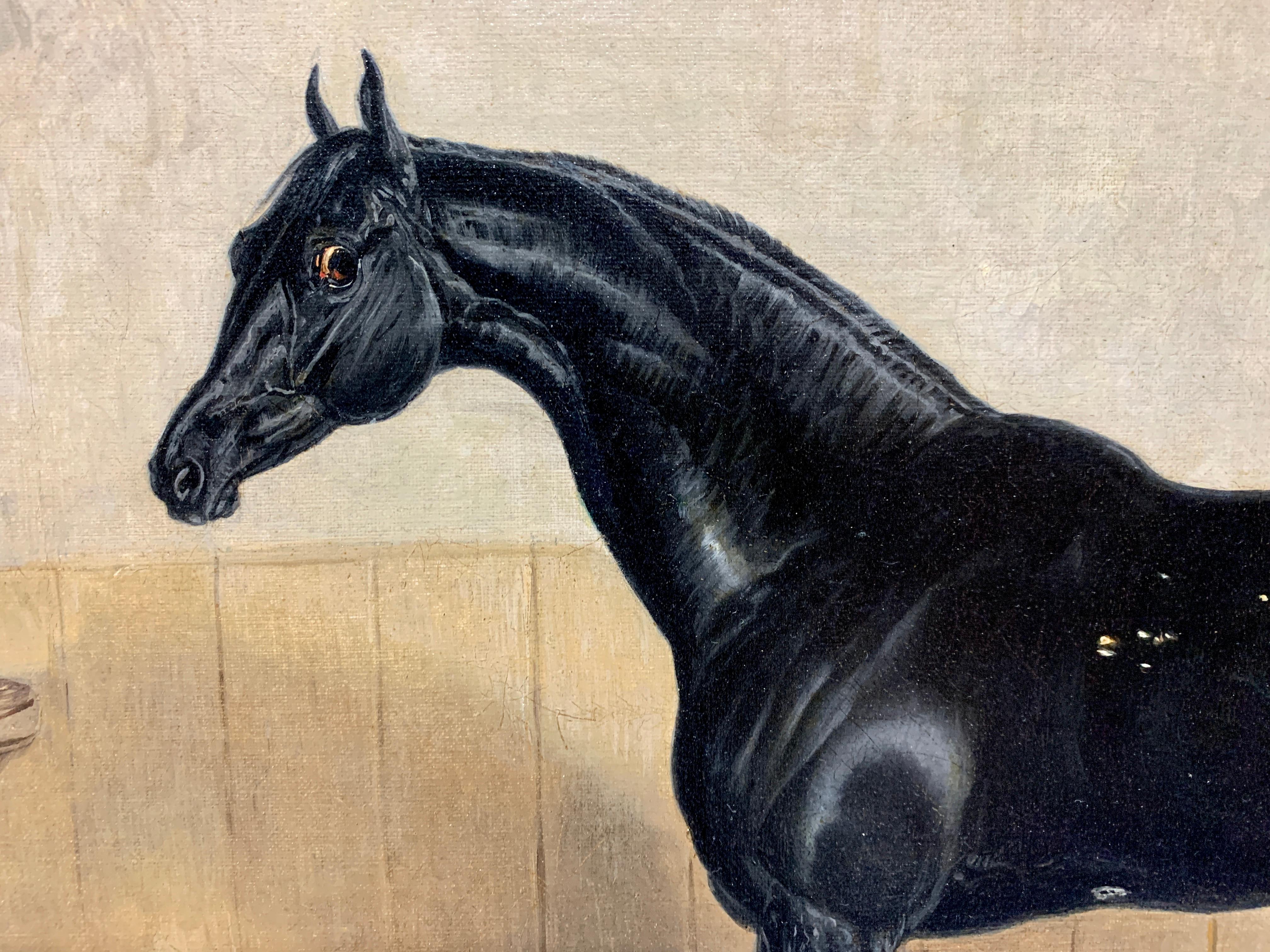 black horse frame