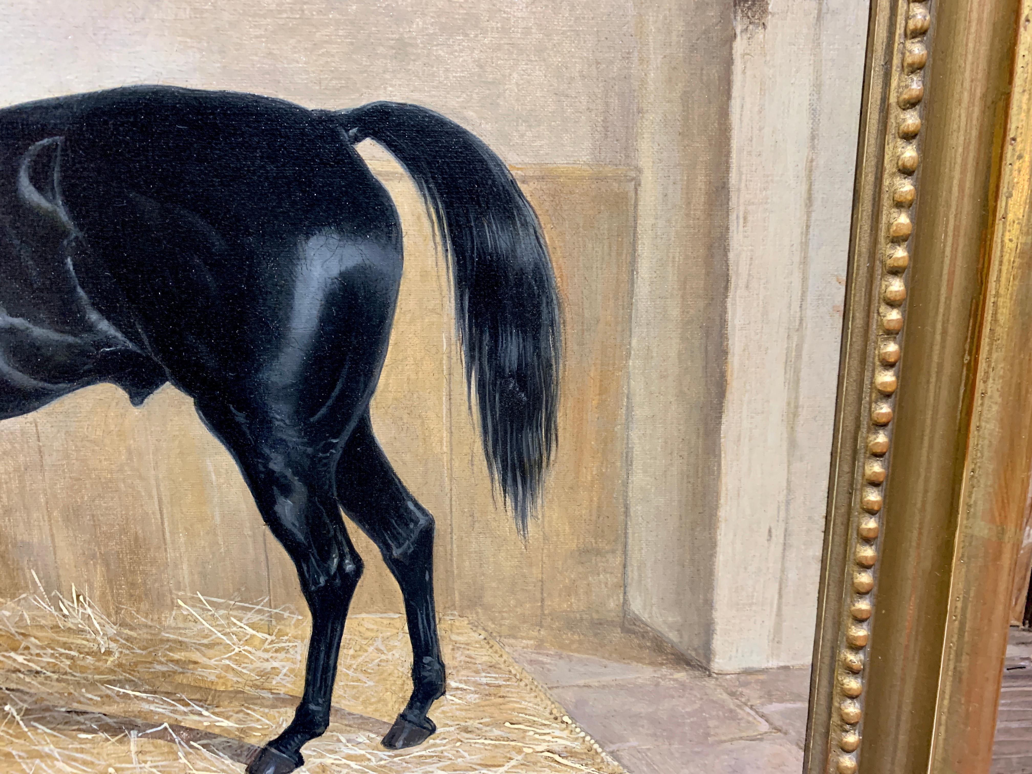 black horse oil