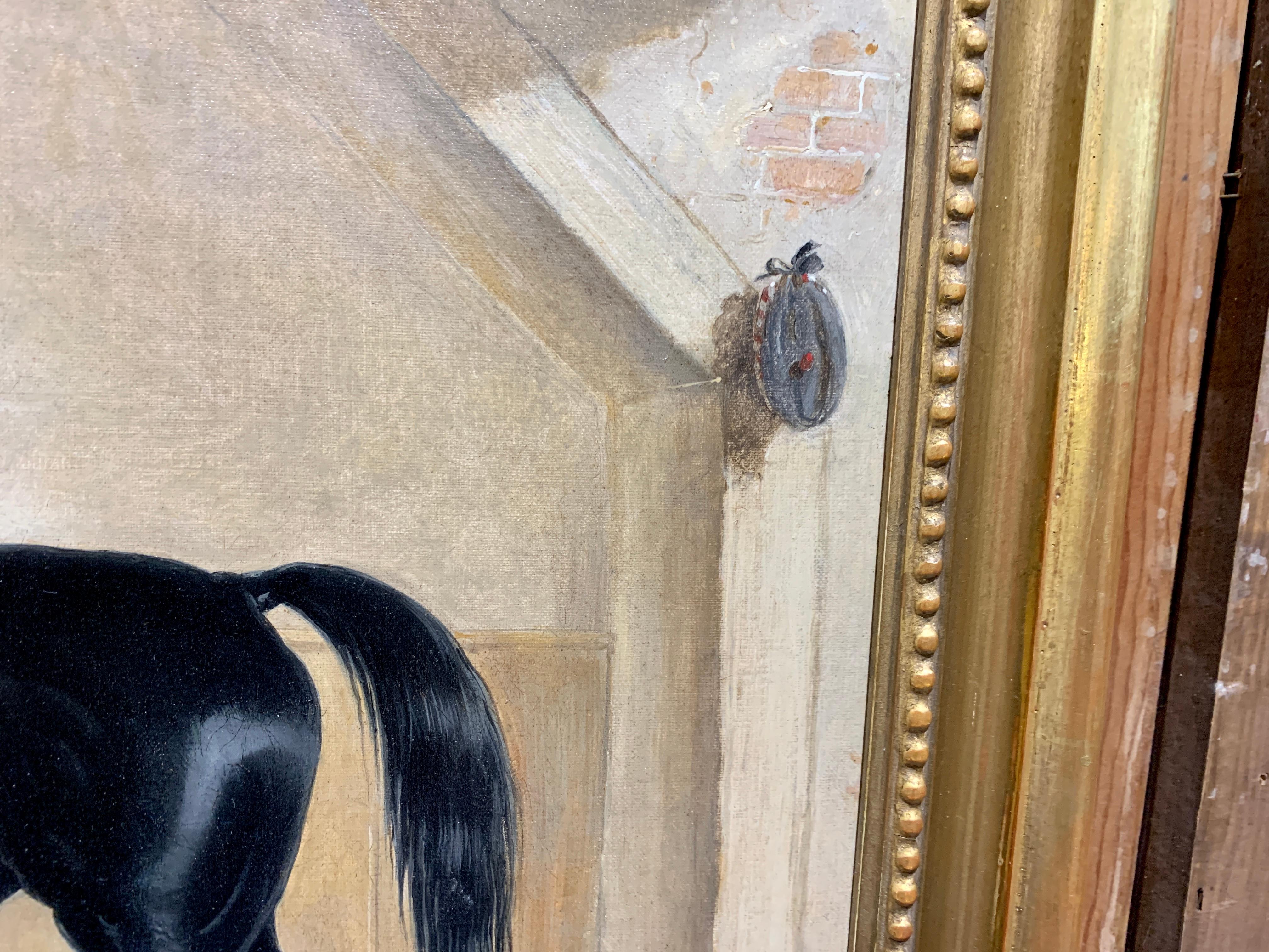 19th century English Victorian oil portrait of a black Horse in a stable. - Brown Portrait Painting by Edward Walter Webb