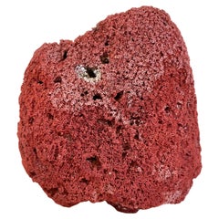 Ex-Large Natural Red Pipe Coral