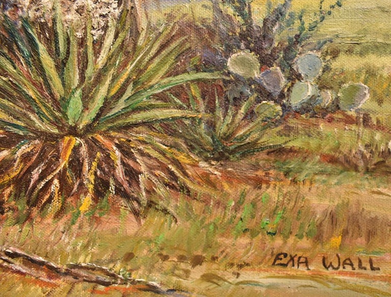 Exa Wall - "Prarie Lights" Texas Hill Country Spanish ...
