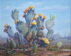 "THE SUN WORSHIPER"  Blooming Prickly Pear Cactus.  Texas Greens, Blues, Reds