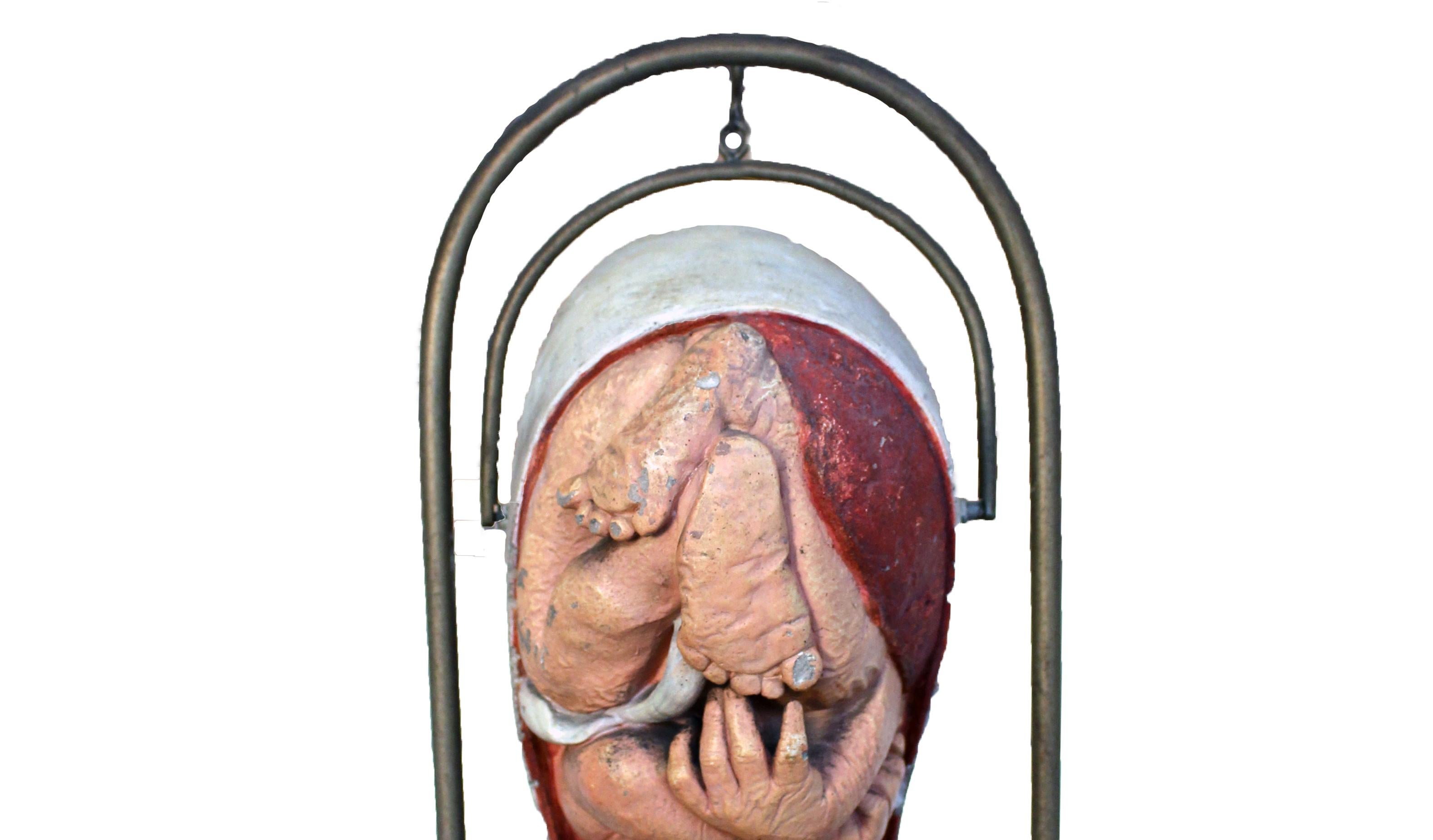 20th Century Example of Baby in the Womb For Sale