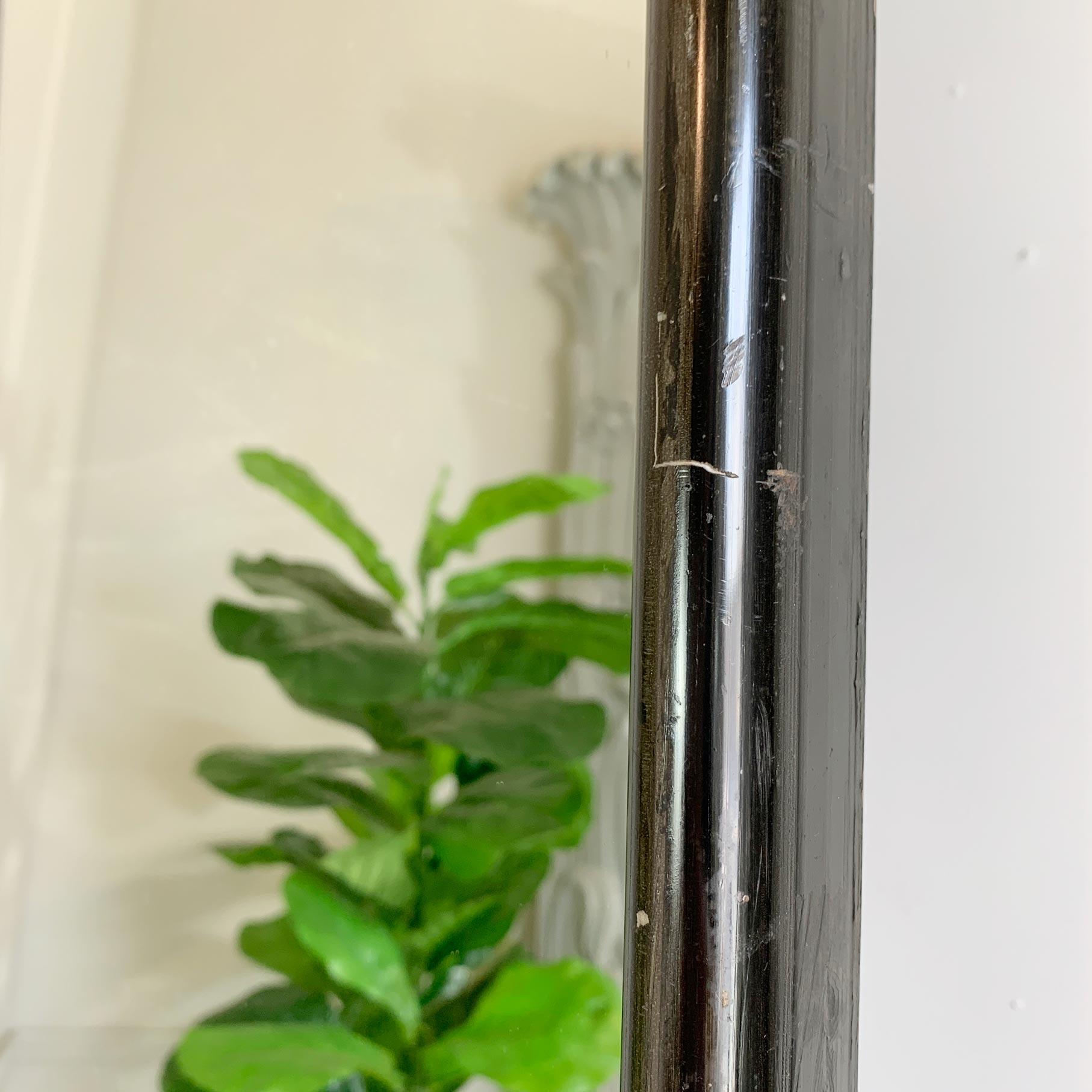 Außerordentlich großer und eleganter viktorianischer Schneiderspiegel aus Ebenholz (Frühviktorianisch) im Angebot