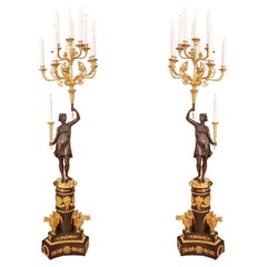 Excellent 19th century bronze candelabras with sixteen lights