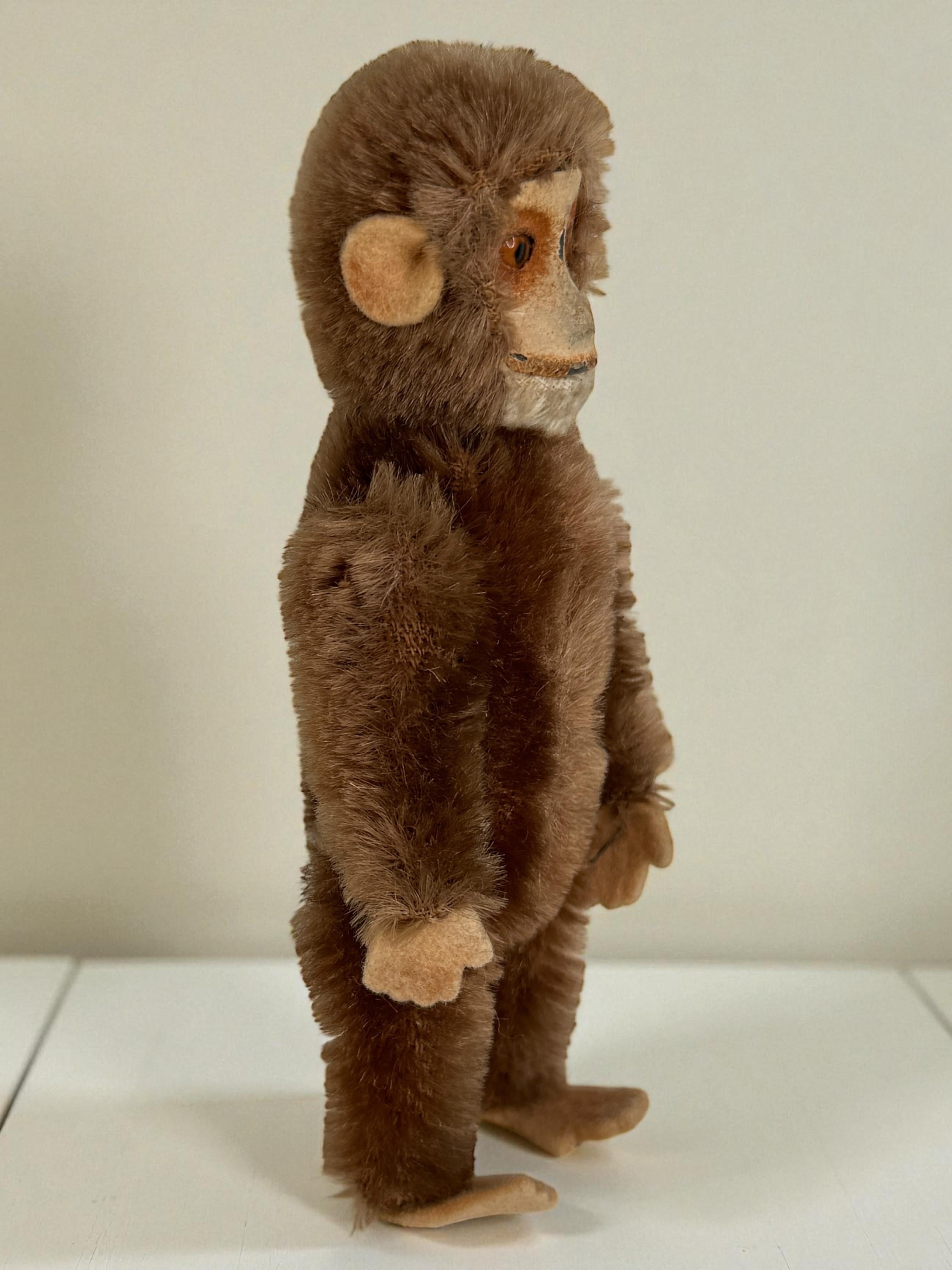 Excellent Early 1900's Schuco Monkey with Secret Perfume Holder For Sale 7