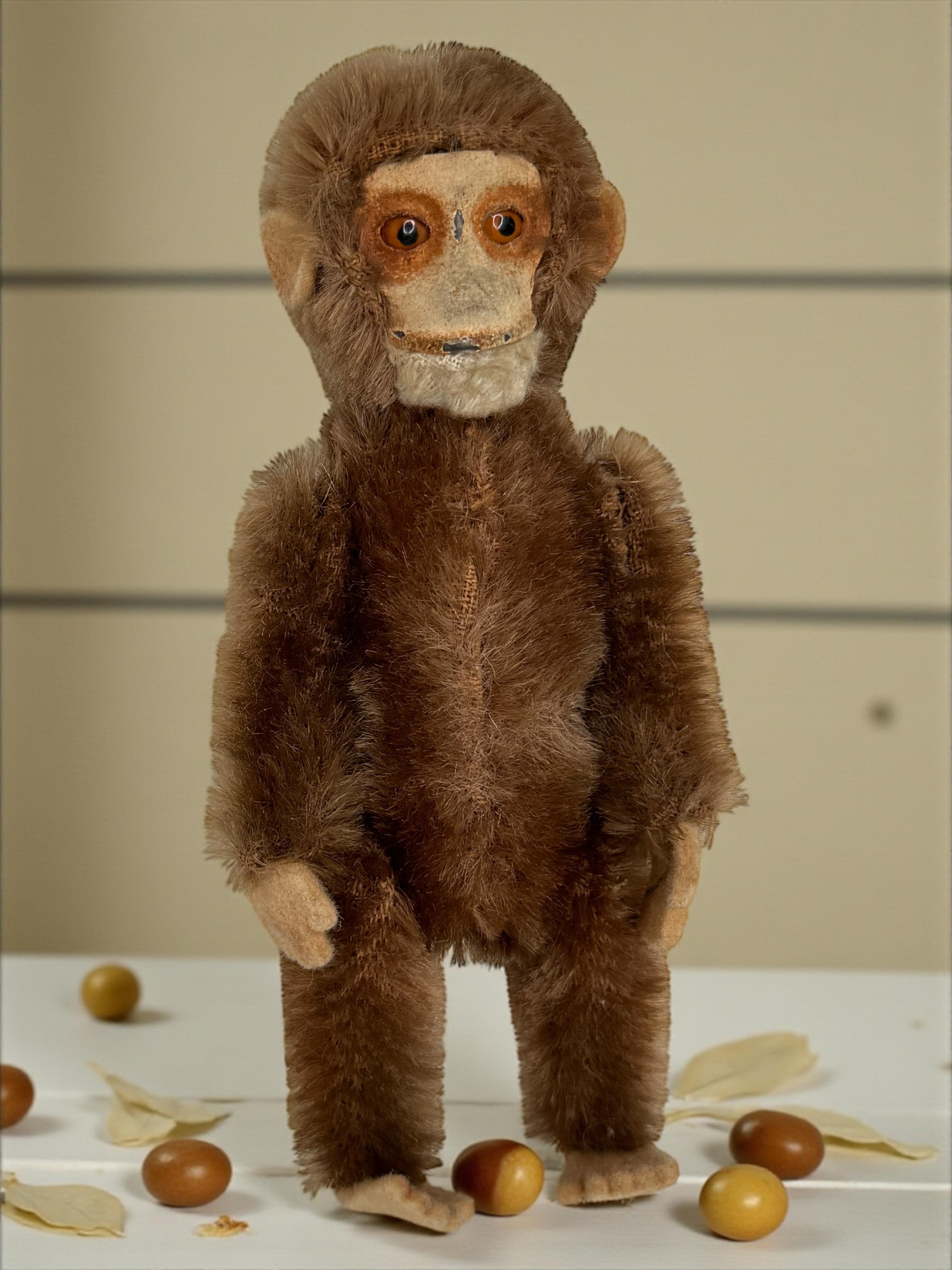 Excellent Early 1900's Schuco Monkey with Secret Perfume Holder For Sale 3