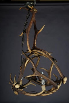 Excellent Hunting Antler Lamp or Challenge Antique in 1900