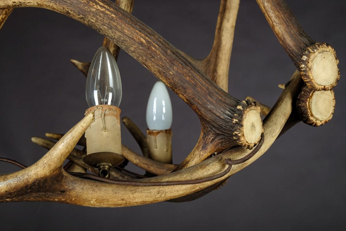 Antike Jagdgeweihe-Lampe oder Herausforderung aus dem Jahr 1900 (Deutsch) im Angebot