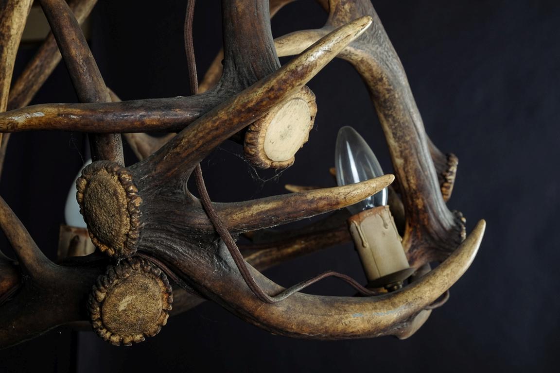 Excellent Hunting Antler Lamp or Challenge Antique in 1900 In Good Condition For Sale In Berlin, DE