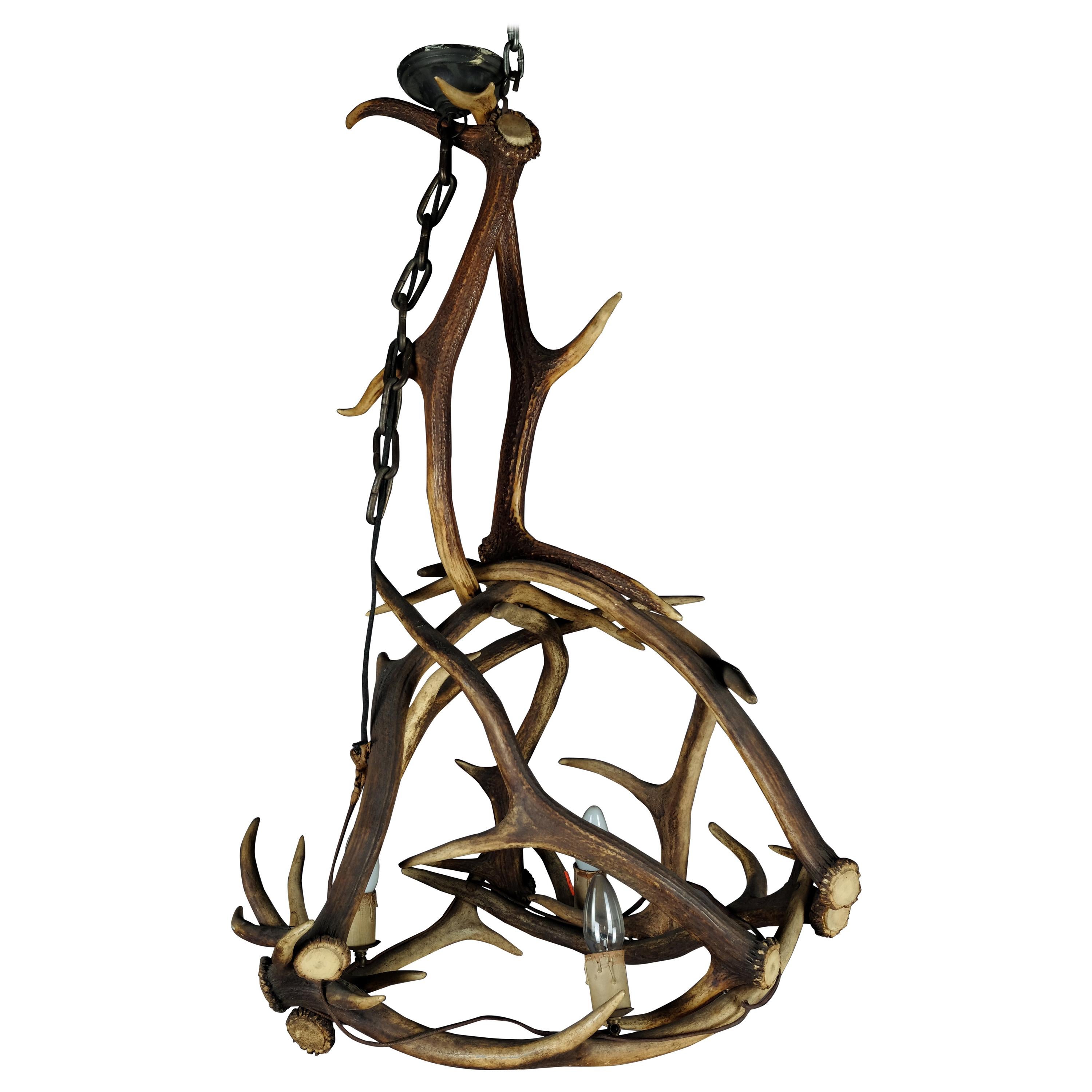Excellent Hunting Antler Lamp or Challenge Antique in 1900 For Sale