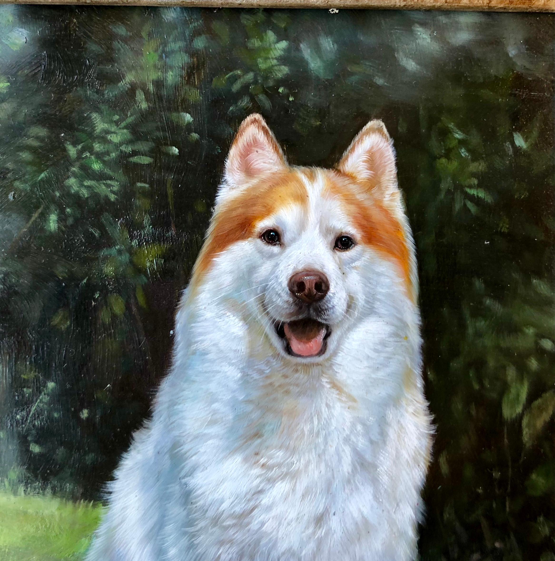 Exquisitely rendered, original oil on board, signed estate painting by French artist, Girard, depicts an alert, seated white husky dog in grass, with red ear and face markings and a big, fluffy tail. Realistic painting has shining, engaging eyes, an