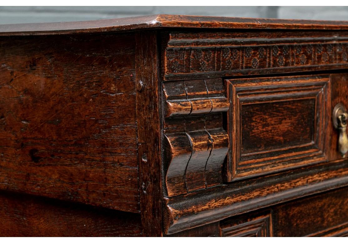 Exceptional 17th-18th Century Elaborately Carved Chest of Drawers 4