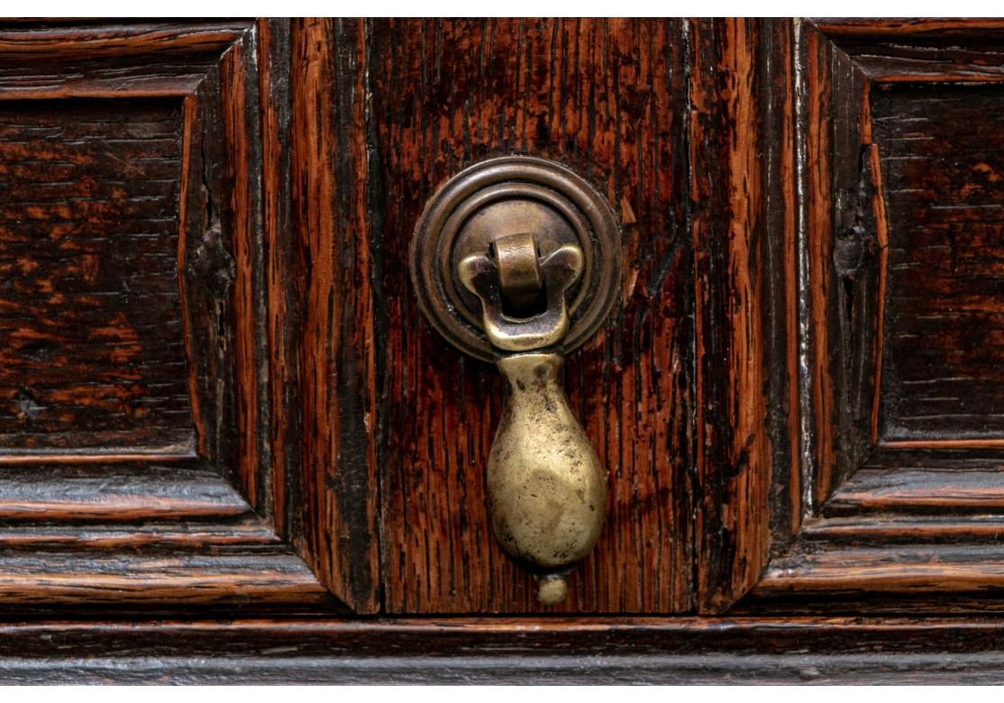 Jacobean Exceptional 17th-18th Century Elaborately Carved Chest of Drawers