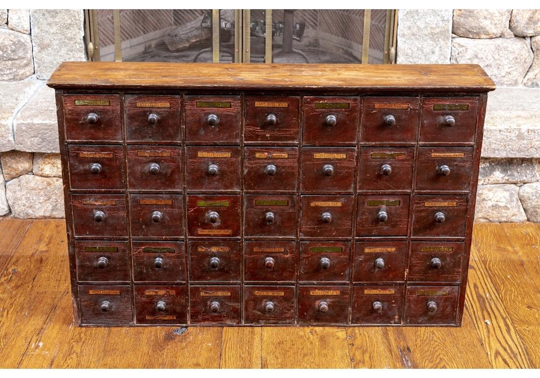 Exceptional 19th C. Painted Pine Apothecary Chest 4