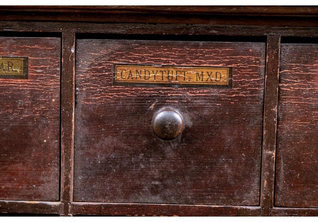 A particularly fine Antique Apothecary Chest in all original condition. With a multitude of small drawers each labeled with various plant and seed names in Latin on gilt ground with knob pulls. The drawers with dove-tail construction, affixed metal